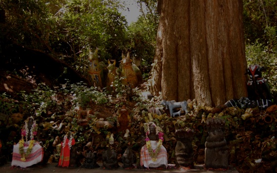 temple under the tree with with wishes for fertility